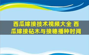 西瓜嫁接技术视频大全 西瓜嫁接砧木与接穗播种时间